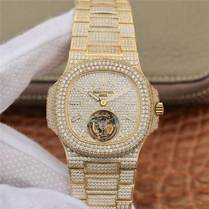 R8PATEK PHILIPPE Patek Philippe Gypsophila bande en acier arrive à remontage manuel Tourbillon mouvement montre homme