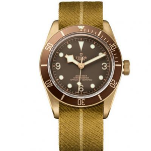 Tudor Bronze v6-versie met de codenaam "Bronze Flower" M79250BM-0003